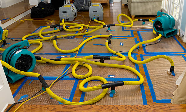 Professional Structural Drying And Dehumidification technician working in Raynham, MA
